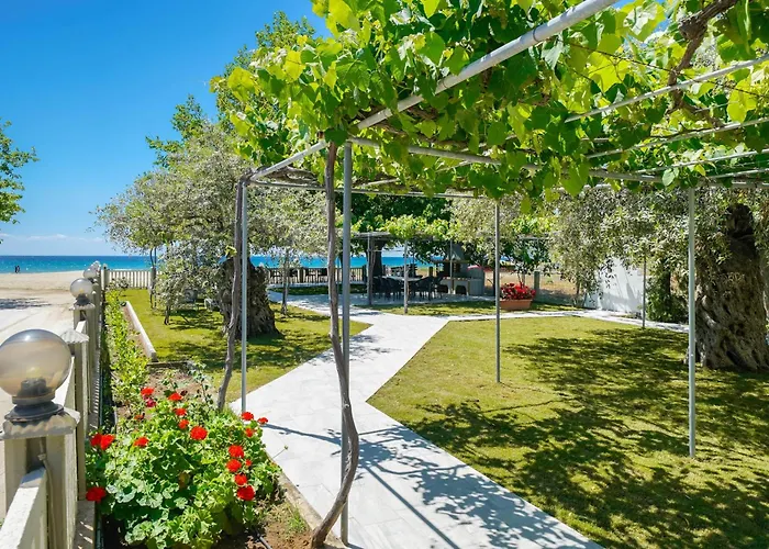 Opalium Front 포토스